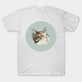 Venus the Calico T-Shirt